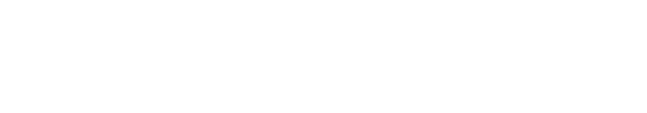 large-logo-horizontal-emblem-white